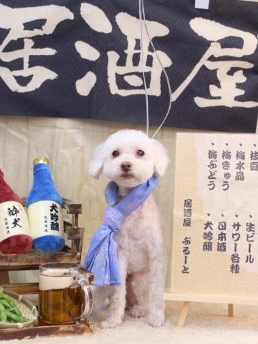 20240604ネネちゃん